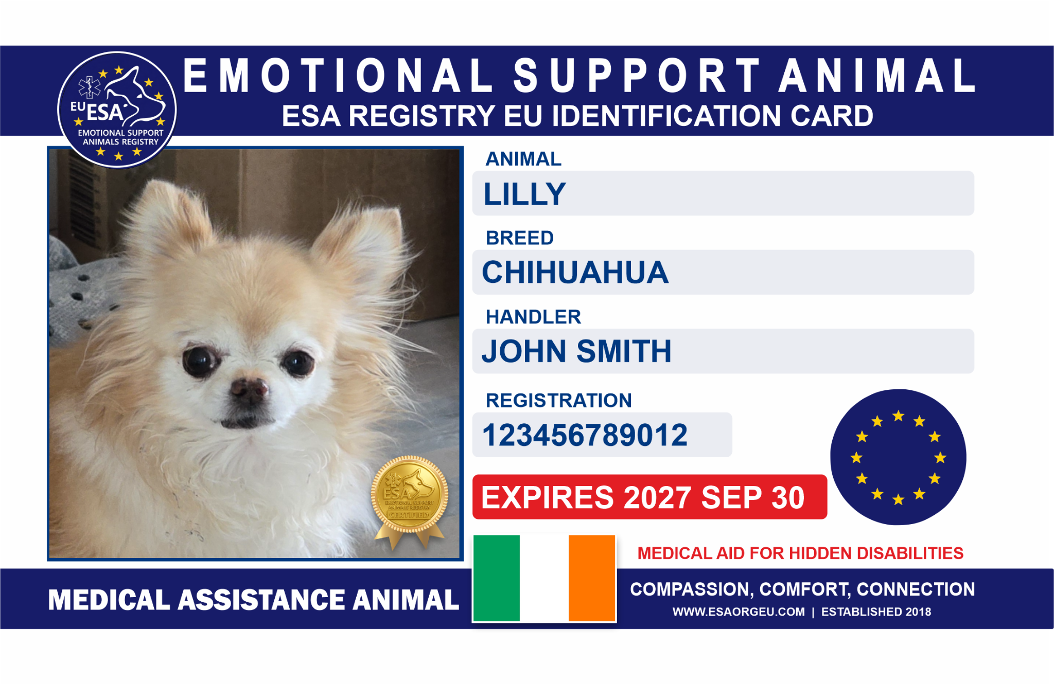 ESA Registry EU Enhanced Card design